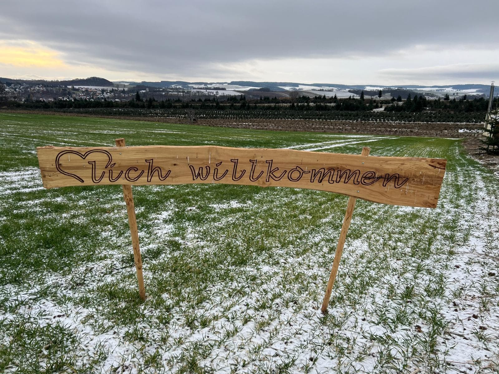 Weihnachtsbaumverkauf